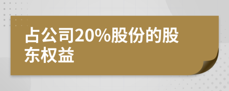 占公司20%股份的股东权益