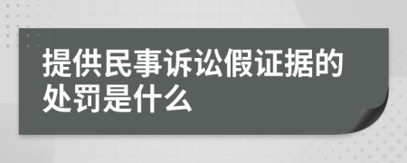 提供民事诉讼假证据的处罚是什么