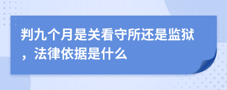 判九个月是关看守所还是监狱，法律依据是什么