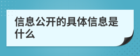 信息公开的具体信息是什么