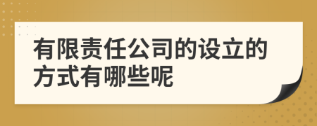 有限责任公司的设立的方式有哪些呢