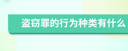 盗窃罪的行为种类有什么