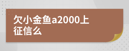 欠小金鱼a2000上征信么