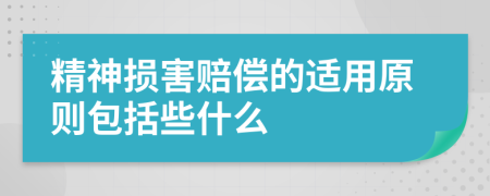 精神损害赔偿的适用原则包括些什么