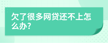 欠了很多网贷还不上怎么办?