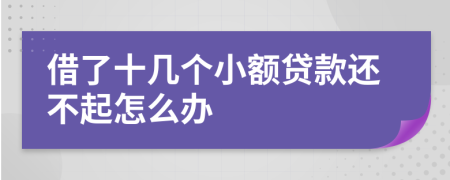 借了十几个小额贷款还不起怎么办