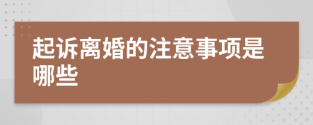 起诉离婚的注意事项是哪些