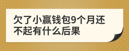 欠了小赢钱包9个月还不起有什么后果