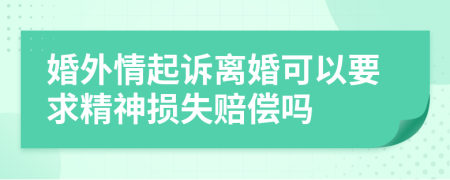婚外情起诉离婚可以要求精神损失赔偿吗