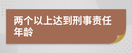 两个以上达到刑事责任年龄