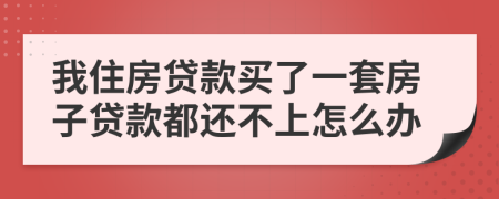 我住房贷款买了一套房子贷款都还不上怎么办