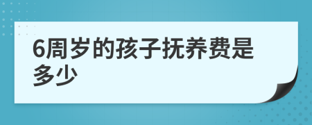 6周岁的孩子抚养费是多少