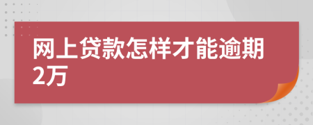 网上贷款怎样才能逾期2万