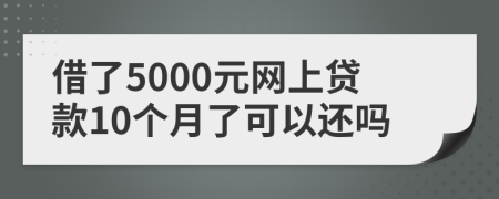 借了5000元网上贷款10个月了可以还吗