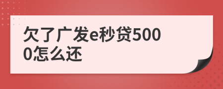 欠了广发e秒贷5000怎么还