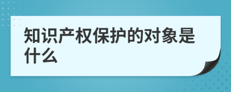 知识产权保护的对象是什么