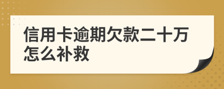 信用卡逾期欠款二十万怎么补救