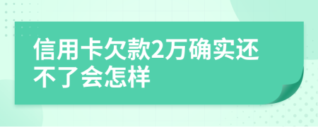 信用卡欠款2万确实还不了会怎样