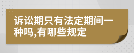 诉讼期只有法定期间一种吗,有哪些规定