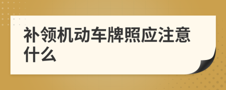 补领机动车牌照应注意什么