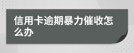 信用卡逾期暴力催收怎么办