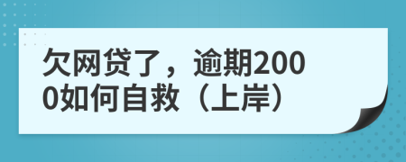 欠网贷了，逾期2000如何自救（上岸）