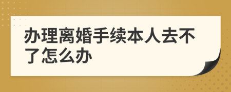 办理离婚手续本人去不了怎么办