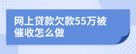 网上贷款欠款55万被催收怎么做