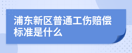 浦东新区普通工伤赔偿标准是什么