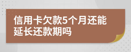 信用卡欠款5个月还能延长还款期吗