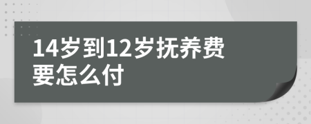 14岁到12岁抚养费要怎么付