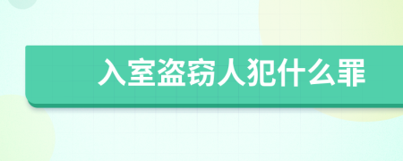 入室盗窃人犯什么罪