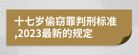 十七岁偷窃罪判刑标准,2023最新的规定