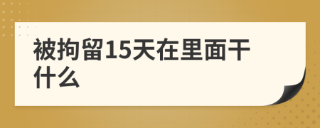 被拘留15天在里面干什么