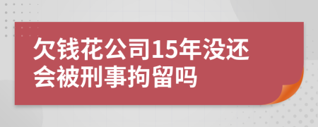 欠钱花公司15年没还会被刑事拘留吗