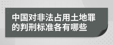 中国对非法占用土地罪的判刑标准各有哪些