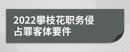 2022攀枝花职务侵占罪客体要件