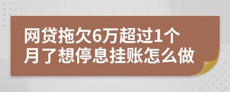 网贷拖欠6万超过1个月了想停息挂账怎么做