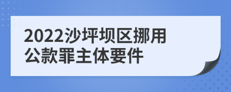 2022沙坪坝区挪用公款罪主体要件