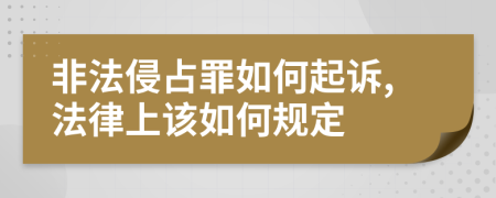 非法侵占罪如何起诉,法律上该如何规定