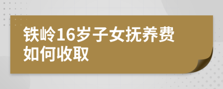 铁岭16岁子女抚养费如何收取