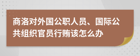 商洛对外国公职人员、国际公共组织官员行贿该怎么办