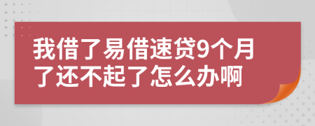 我借了易借速贷9个月了还不起了怎么办啊