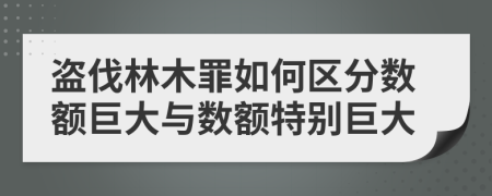 盗伐林木罪如何区分数额巨大与数额特别巨大