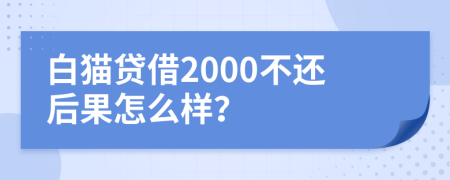 白猫贷借2000不还后果怎么样？