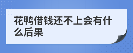 花鸭借钱还不上会有什么后果