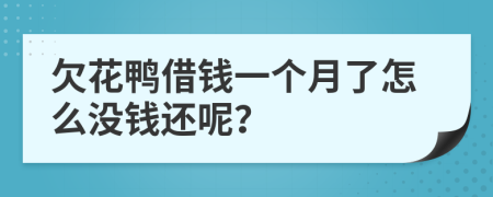 欠花鸭借钱一个月了怎么没钱还呢？