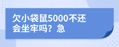 欠小袋鼠5000不还会坐牢吗？急