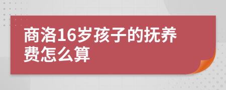 商洛16岁孩子的抚养费怎么算