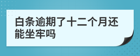 白条逾期了十二个月还能坐牢吗